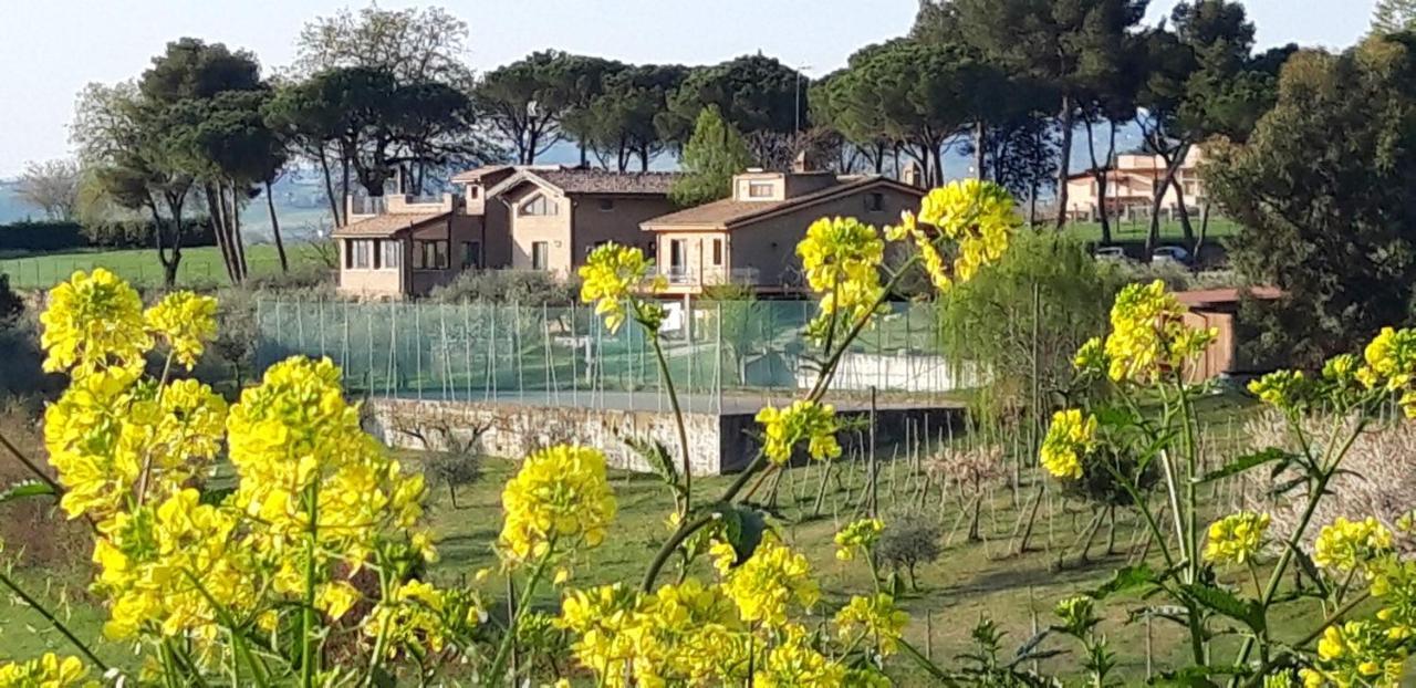 La Casa Nella Prateria Acomodação com café da manhã Misano Adriatico Exterior foto